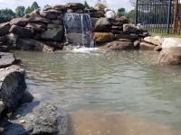waterfall & pond
